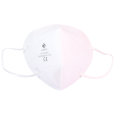 Atemschutzmaske FFP2 Einzelne Masken