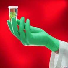 Einweghandschuh NEOTOUCH Handschuhe 25-201 neopren puderfrei / Box mit 100 Stck