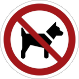 Hunde verboten,  100mm, Kunststoff